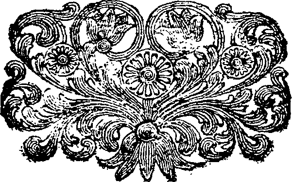 081/081490040001510_0.png