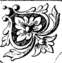 081/081490090000010_2.png