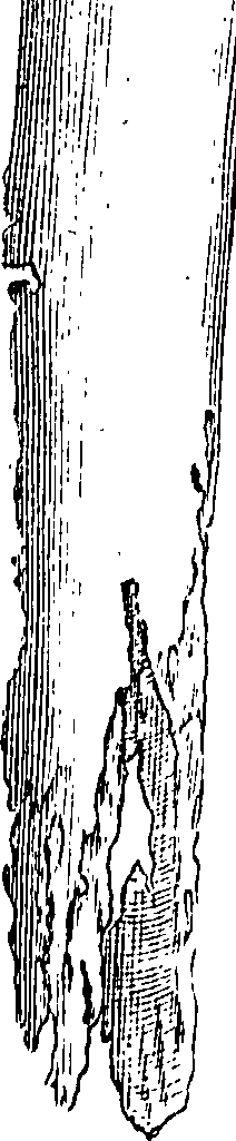 081/081510030103390_0.png