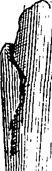 081/081510030103390_1.png