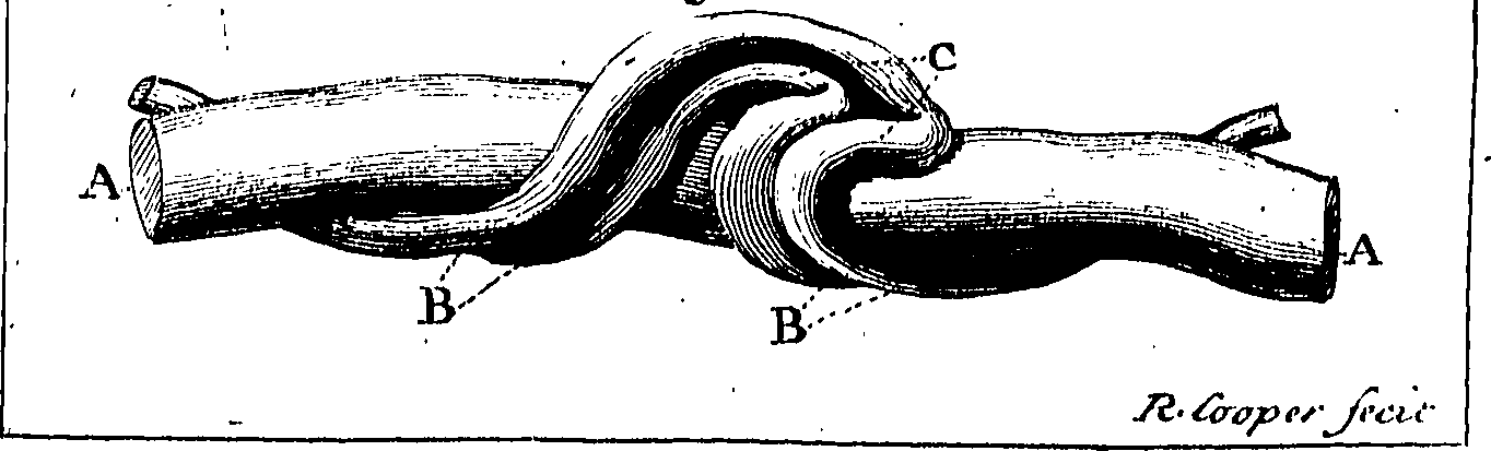 081/081520010201220_0.png