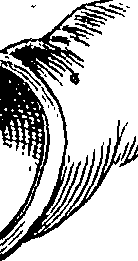 081/081520010203530_0.png
