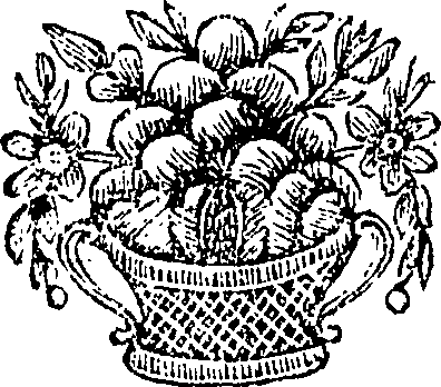 081/081530050000480_0.png