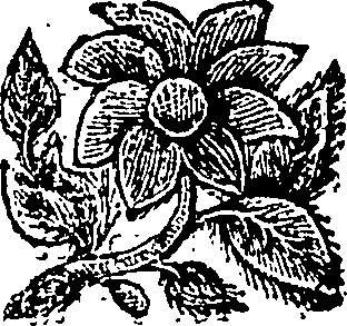 081/081530050000510_0.png