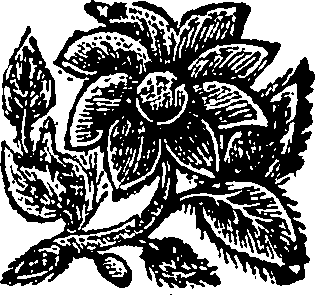 081/081530050000810_0.png