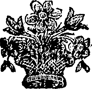081/081530050000960_0.png