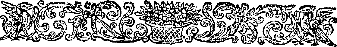 081/081550010000050_1.png