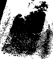 081/081570030100010_0.png