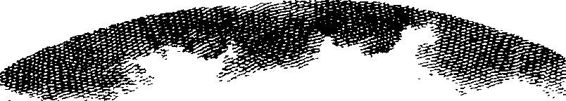 081/081570030100010_1.png