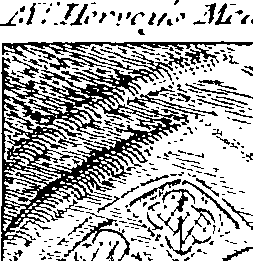 081/081590020100010_1.png