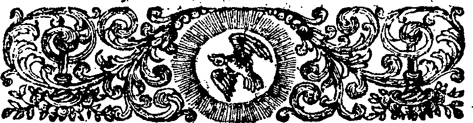 081/081590020202800_1.png
