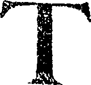 081/081590040000360_0.png