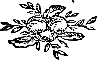 081/081750040100030_0.png