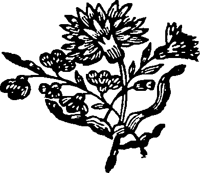 081/081750040200020_0.png