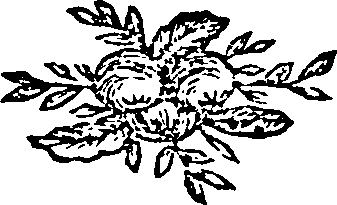 081/081750040300030_0.png