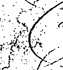 081/081780050000010_0.png
