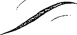 081/081780050000030_0.png