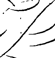 081/081780050000070_0.png