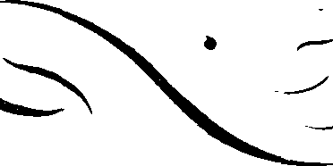 081/081780050000080_0.png
