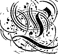 081/081780050000100_0.png