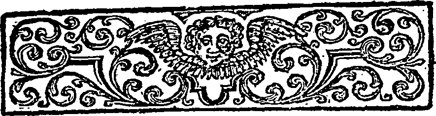 081/081790010000100_1.png