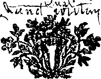 081/081790010000960_0.png