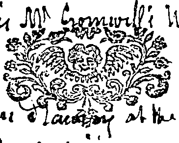081/081790010000970_0.png