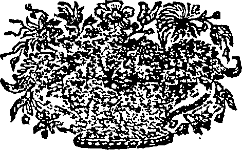 081/081790010001290_0.png