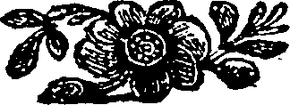 081/081860050001110_0.png