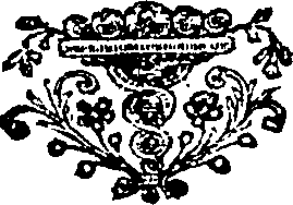 081/081860050002510_0.png