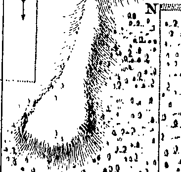 081/081870030004000_0.png