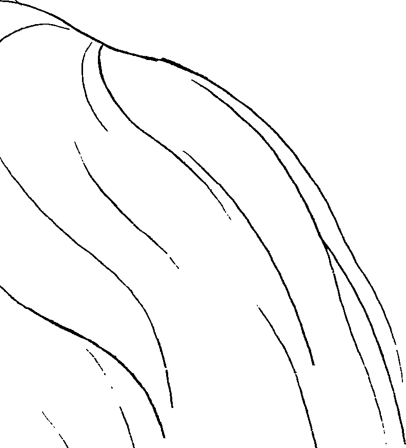 081/081890060000400_4.png