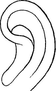 081/081890060000410_0.png