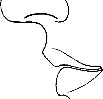 081/081890060000430_0.png