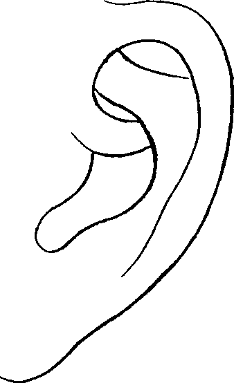 081/081890060000430_1.png