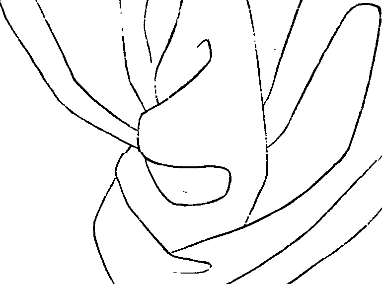 081/081890060000440_0.png
