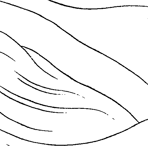 081/081890060000460_1.png