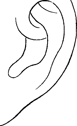 081/081890060000510_0.png