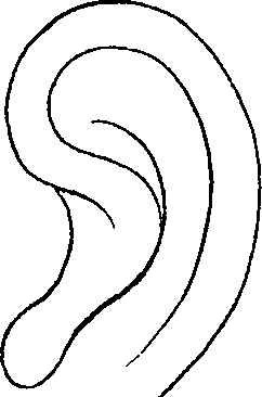 081/081890060000550_0.png