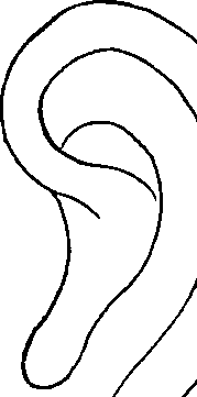 081/081890060000590_1.png