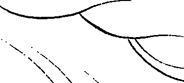 081/081890060000600_0.png