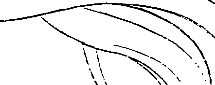 081/081890060000620_0.png