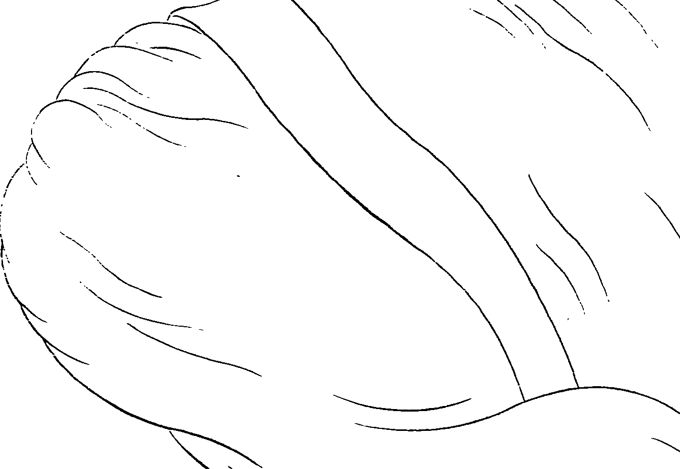 081/081890060000620_1.png