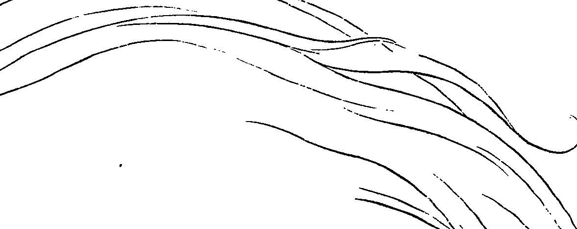 081/081890060000640_2.png