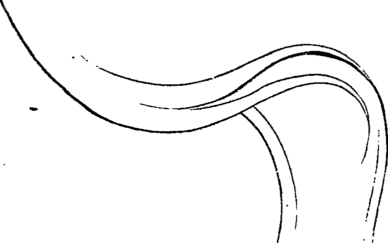 081/081890060000680_1.png