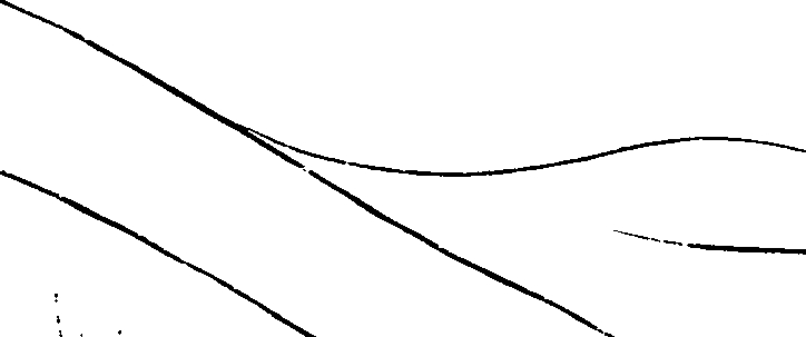 081/081890060000720_2.png