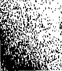 081/081900070000580_0.png