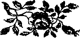 081/081910080301030_0.png