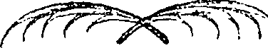 081/081910080301770_0.png