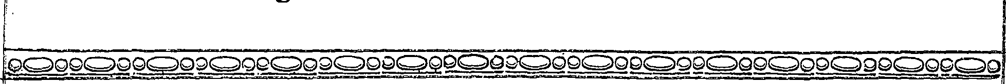 081/081940020001620_1.png